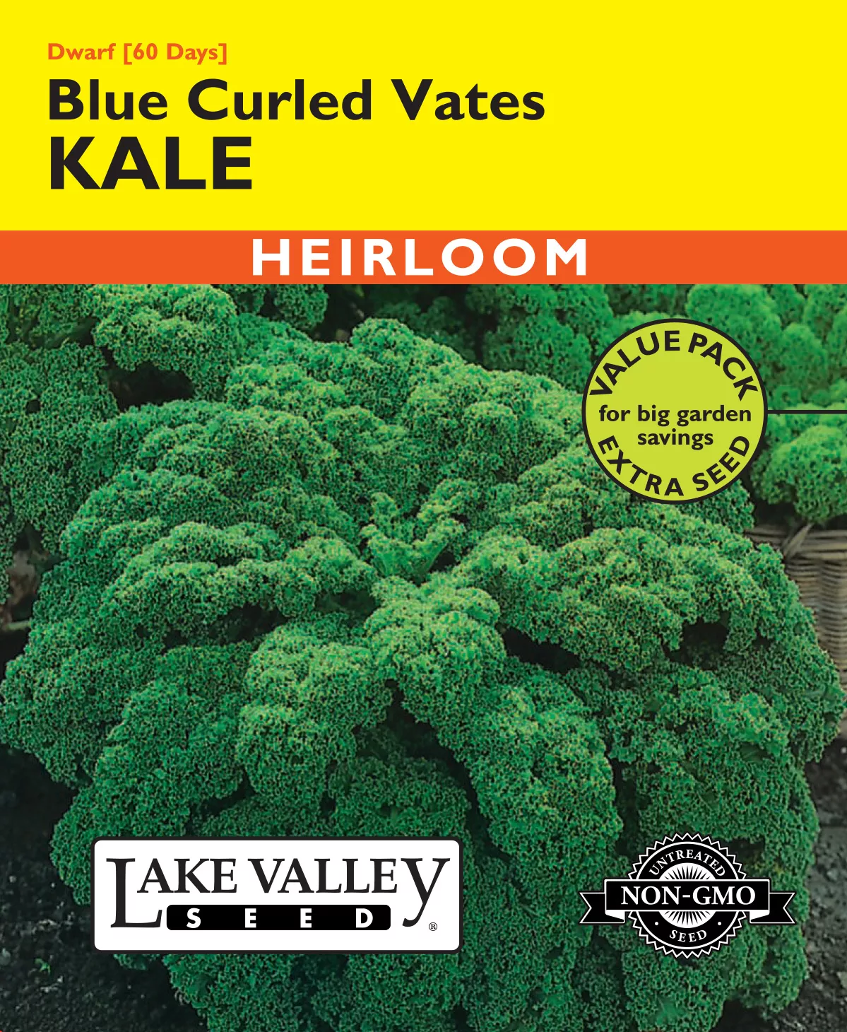Kale Dwarf Blue Curled Vates – Item #4184