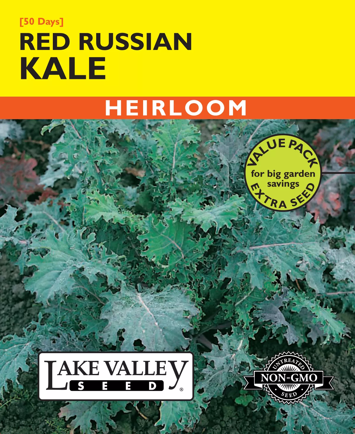 Kale Red Russian – Item #4183