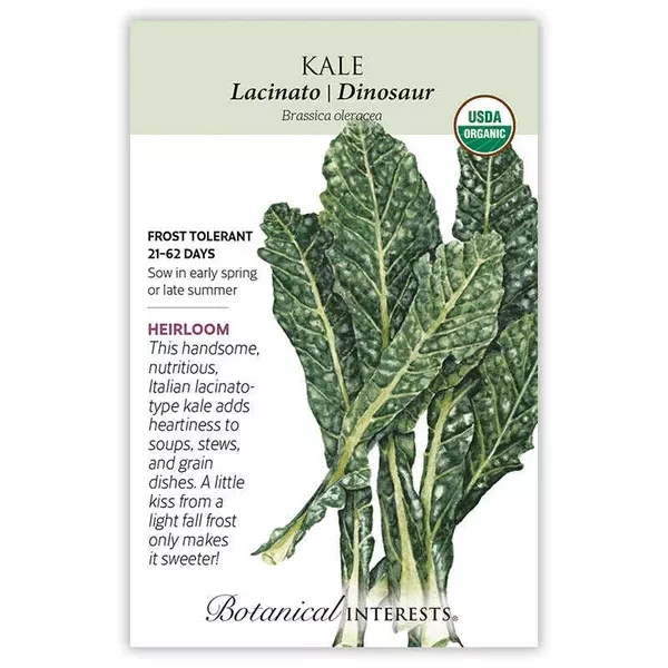 Kale seeds 'Italian Lacicato Dinosaur'