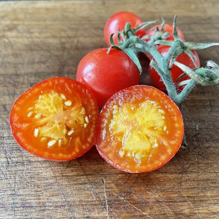 KARMA Apricot Tomato Seeds
