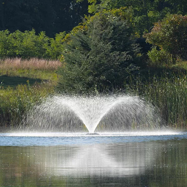 Kasco VFX Aerating Fountain 1/2 hp