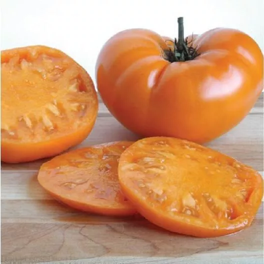 Kelloggs Breakfast tomato- 4" pot