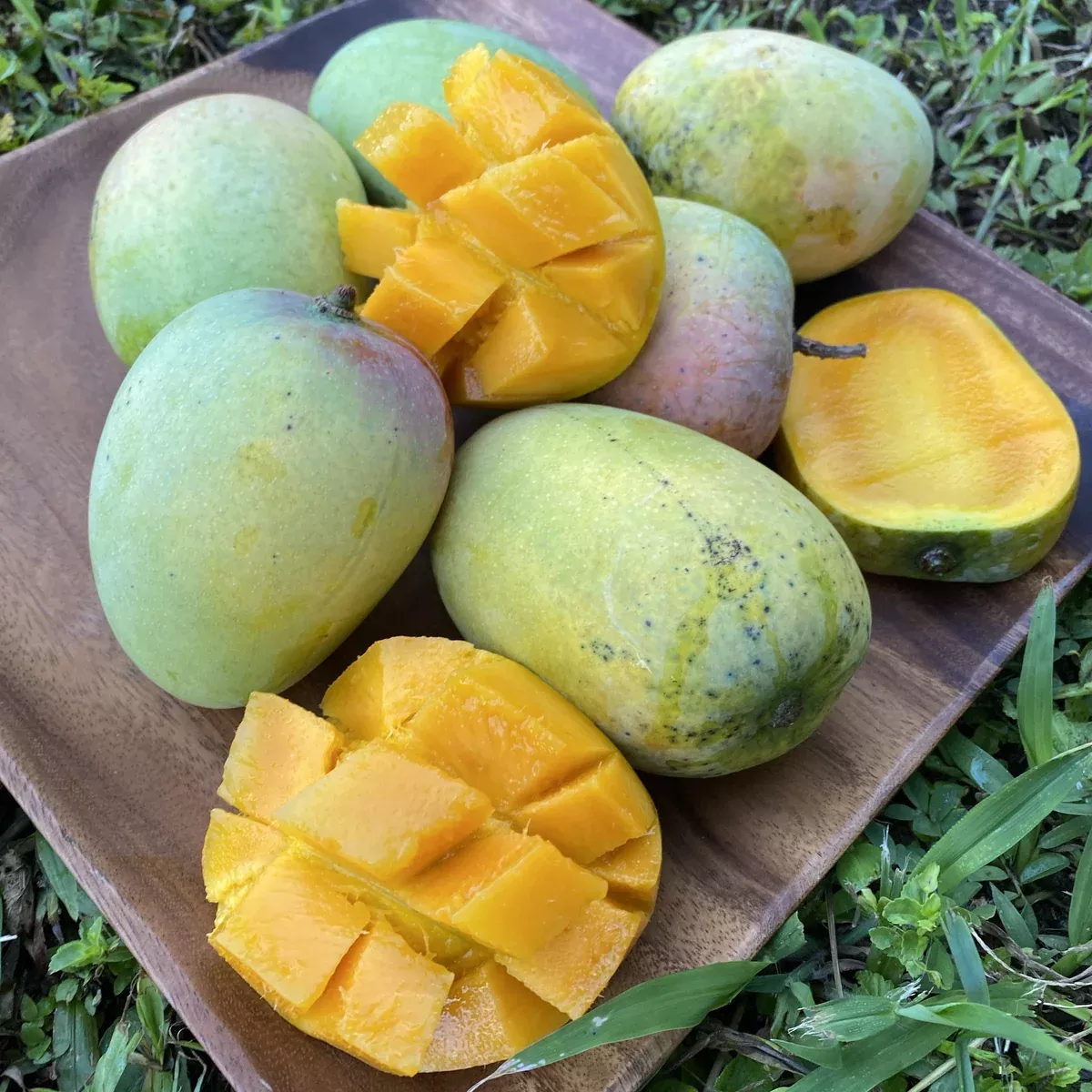 Kesar Mango *Pre-Order*