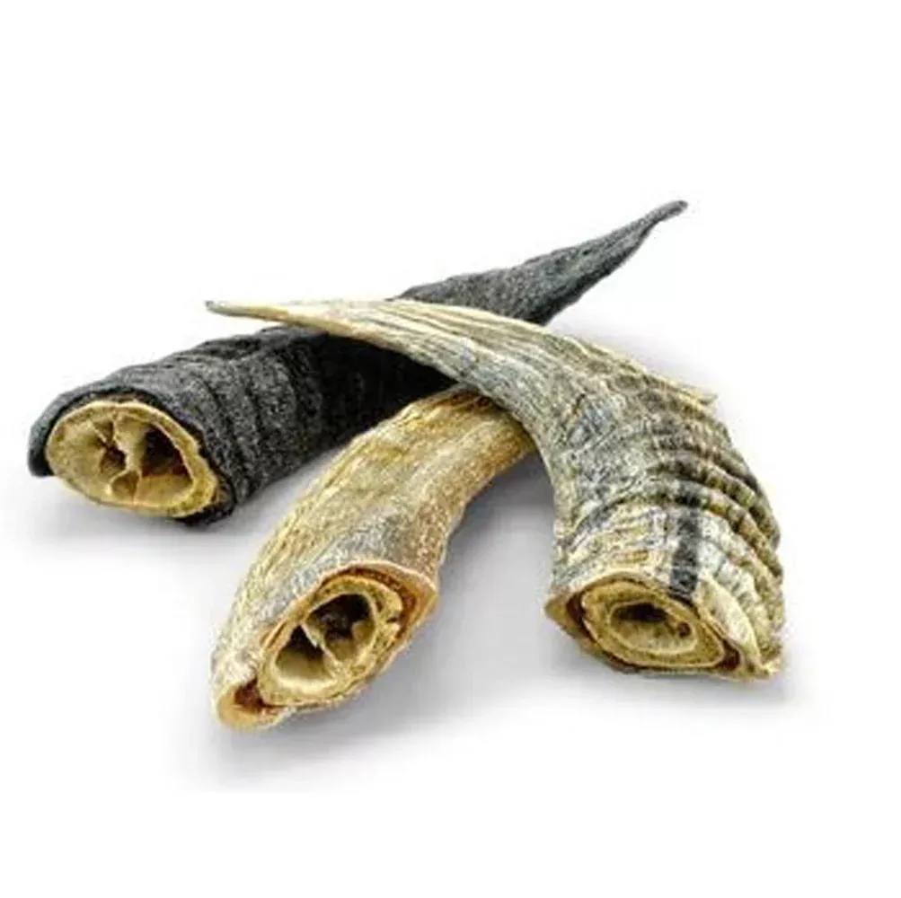 Koha, Icelandic Lamb Horn/Marrow