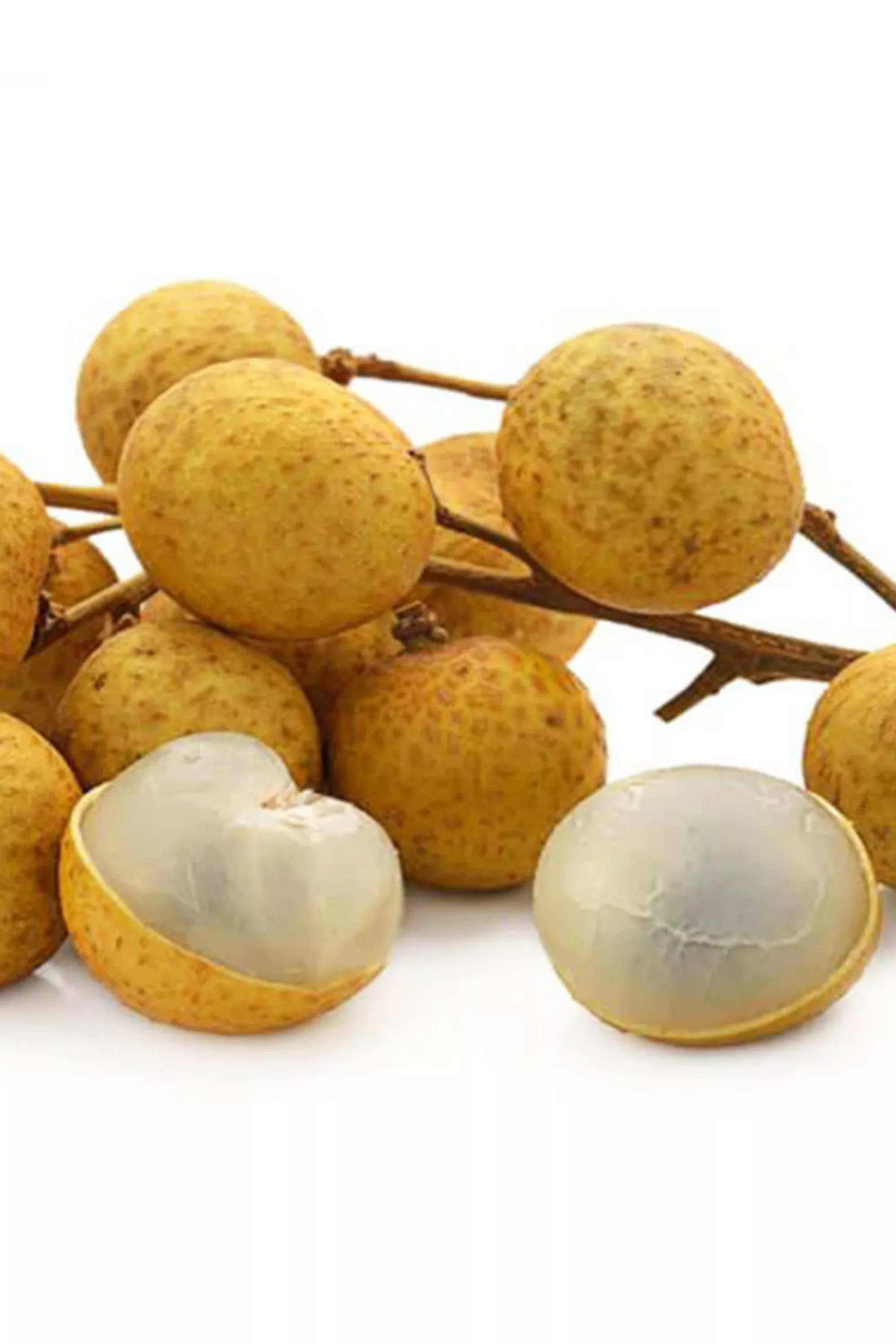 Kohala Longan Tree