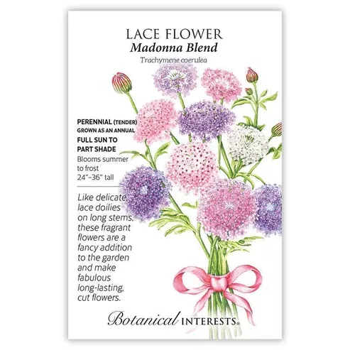 Lace Flower
