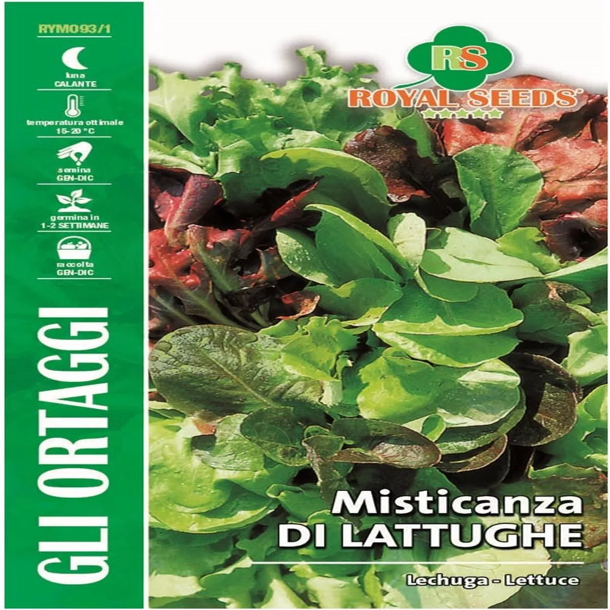 Leghuga Lettuce – Royal Seed RYMO93/1
