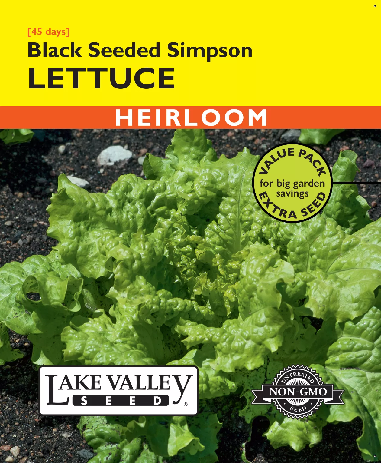 Lettuce Black Seeded Simpson – Item #485