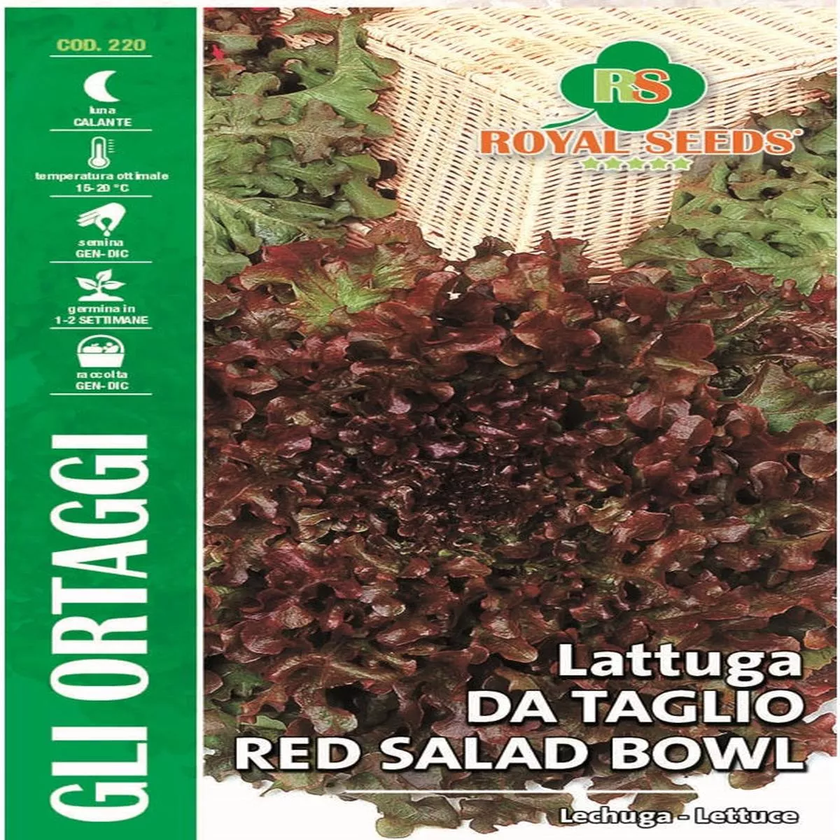 Lettuce Cutting Red Salad Bowl – Royal Seed RYMO78/25 – COD.220