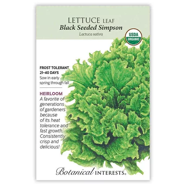 Lettuce Leaf seeds 'Black Simpson'