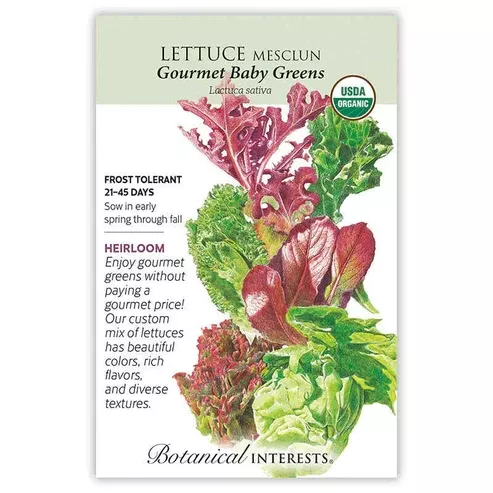 Lettuce 'Mesclun Gourmet Baby'
