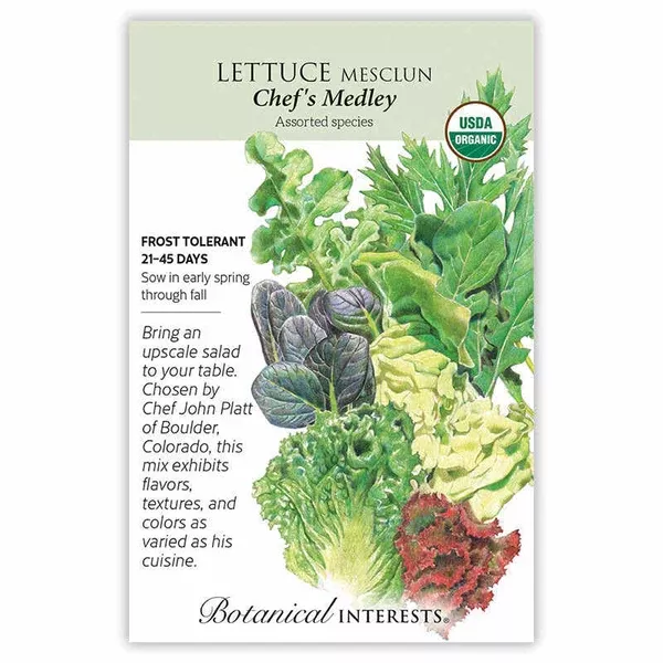 Lettuce Mesclun seeds 'Chefs Medley'