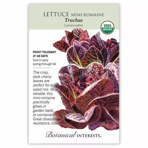 Lettuce Romaine 'Red Little Gem Truchas'