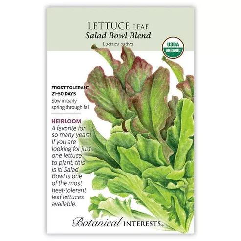 Lettuce 'Salad Bowl Blend'
