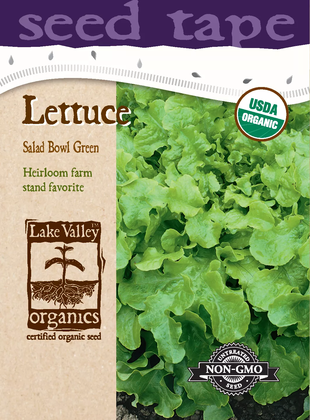 Lettuce Salad Bowl Green – Item #4727