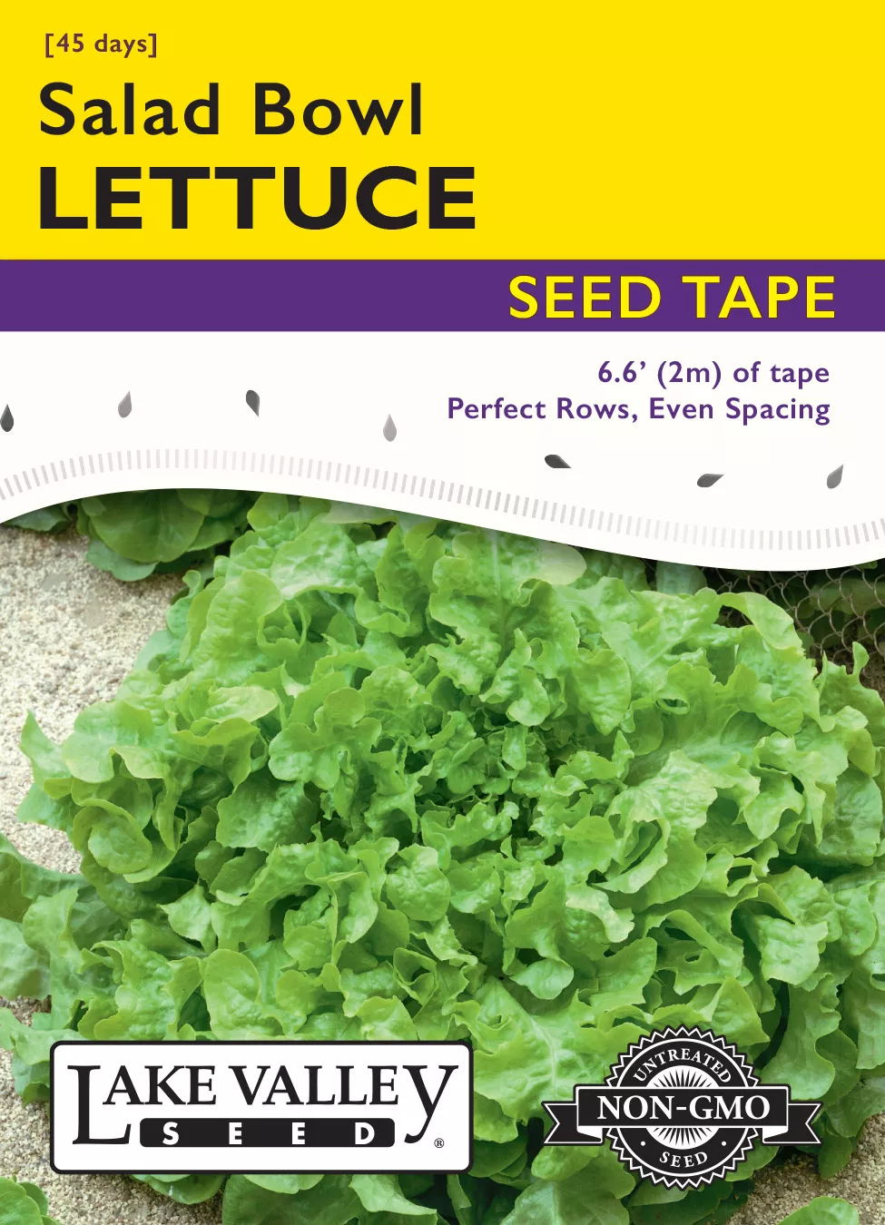 Lettuce Salad Bowl – Item #4556