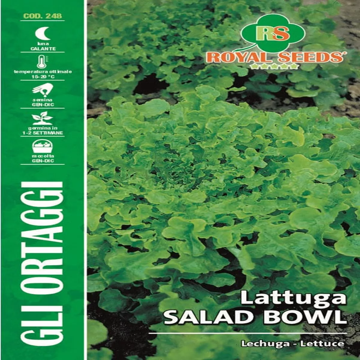 Lettuce Salad Bowl – Royal Seed RYMO78/24 – COD.248