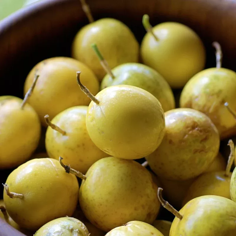Lilikoi Seeds (Passiflora edulis var. flavicarpa) Known for its bright yellow skin and sweet-tart pulp, this variety of passionfruit brings a taste of the tropics to your garden. Best grown in warm zones or protected greenhouse spaces