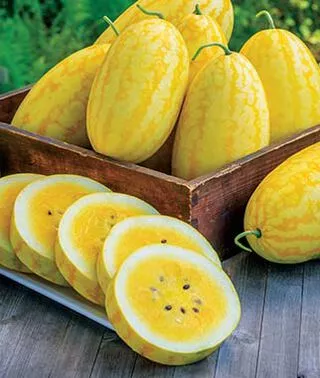 Limited availability watermelons
