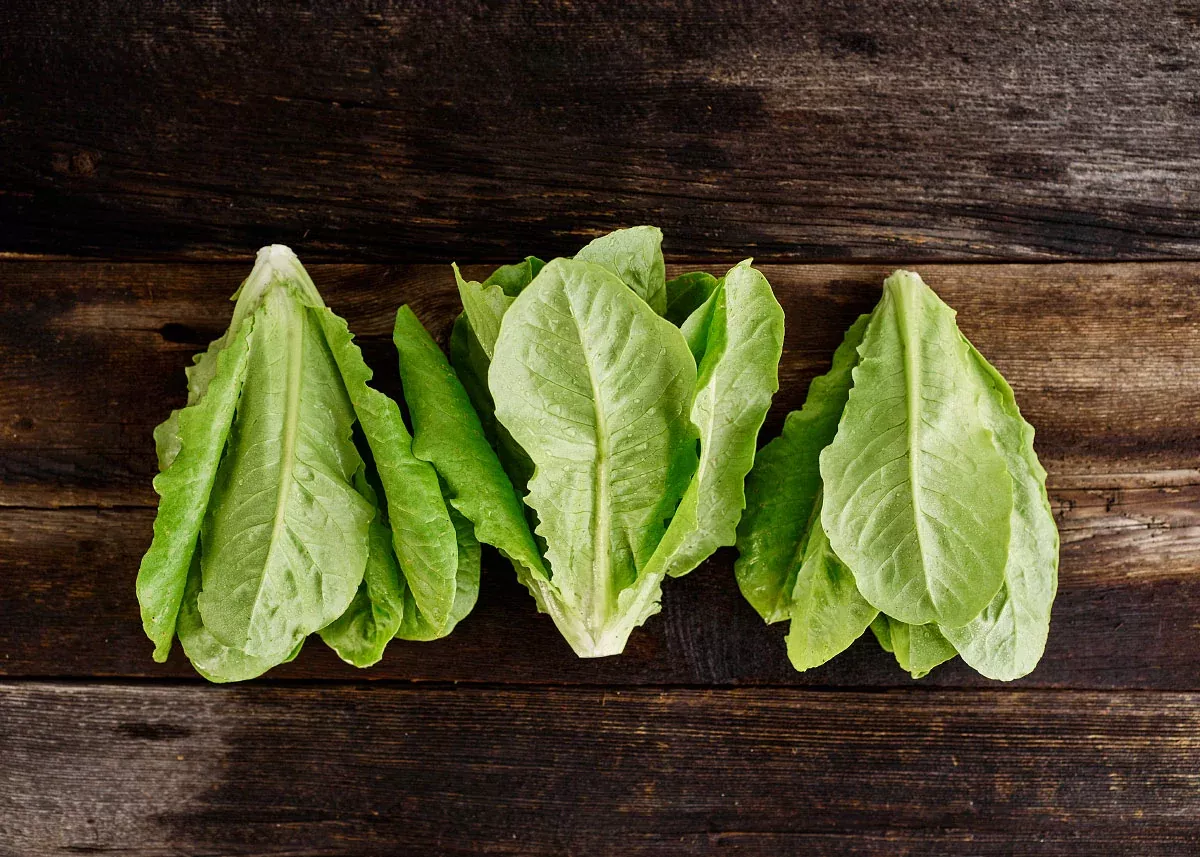 Little Gem - Organic Lettuce Seeds