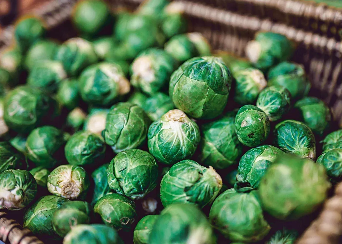 Long Island Improved - Brussels Sprout Seeds
