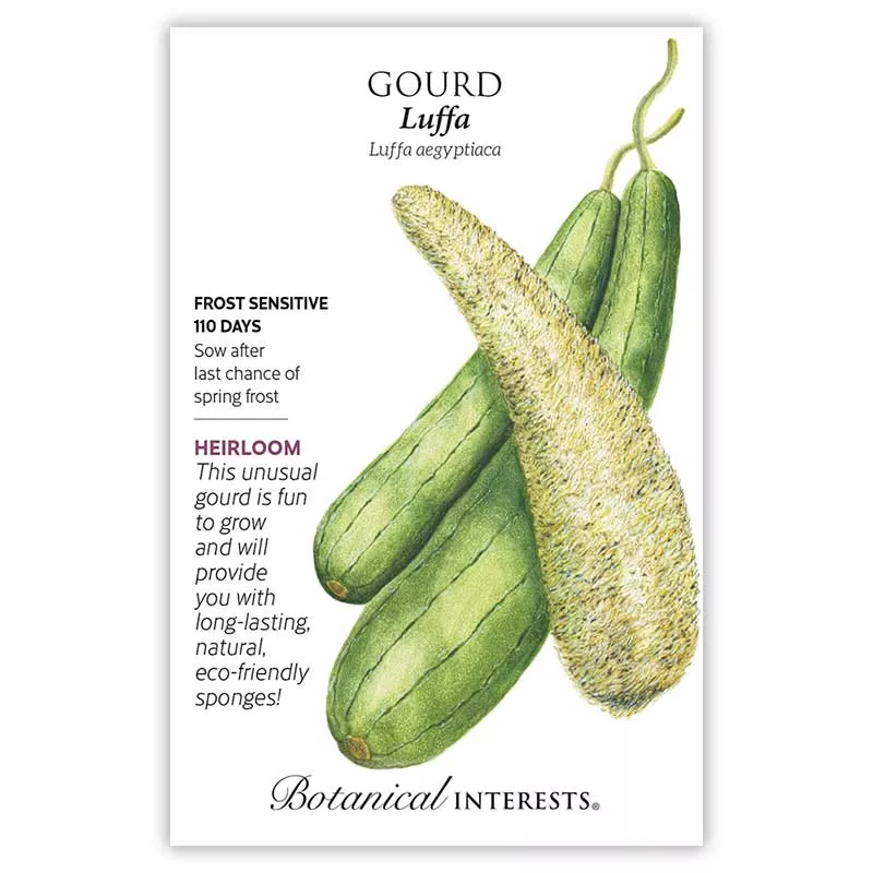Luffa - Gourd Seeds