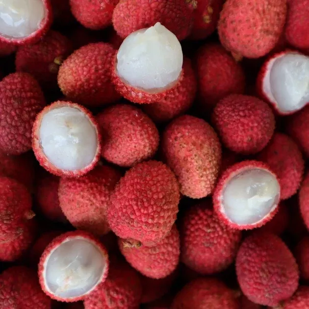 Lychee *** Pre Order ***
