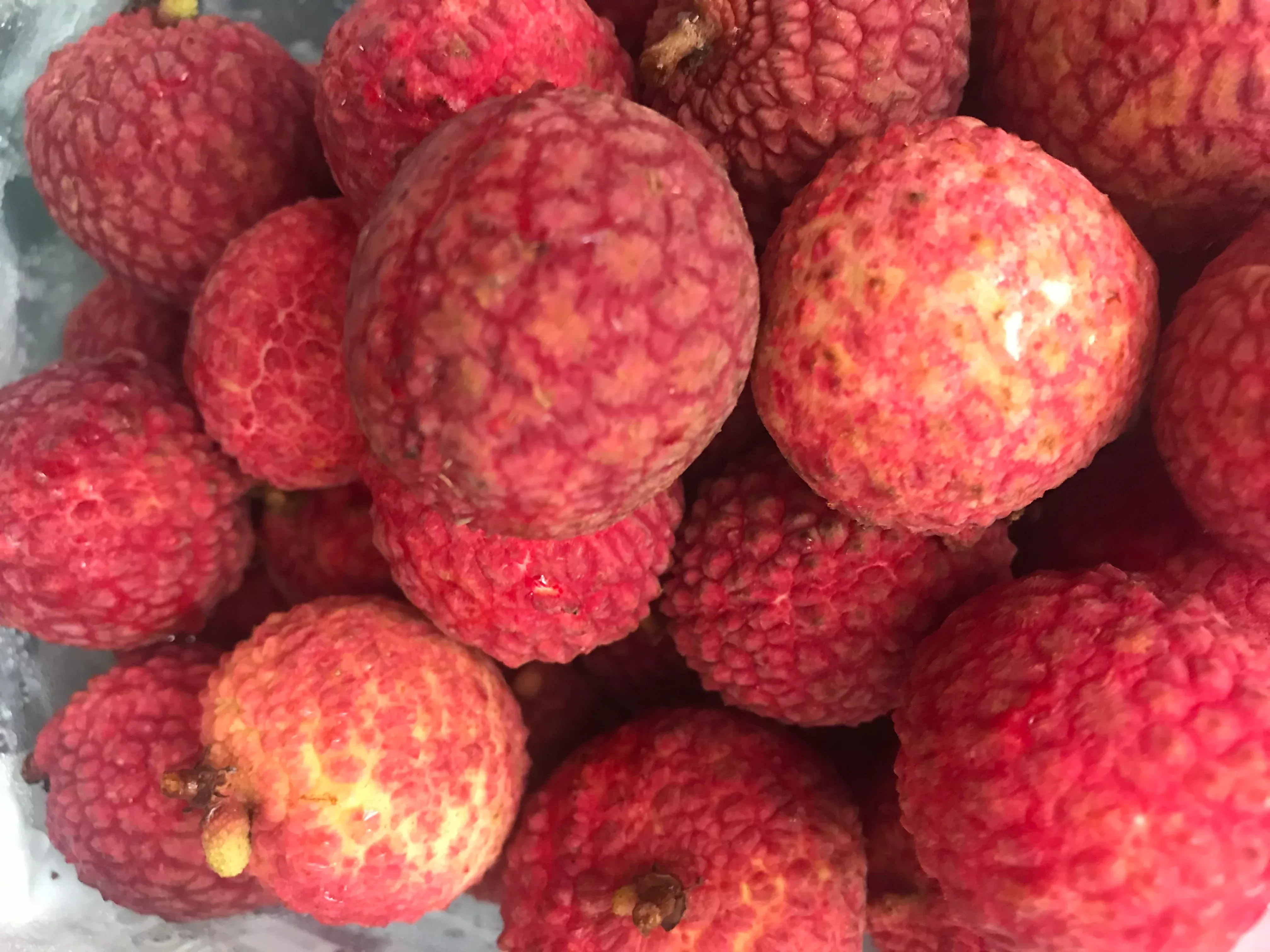 Lychee Tree 'Emperor'