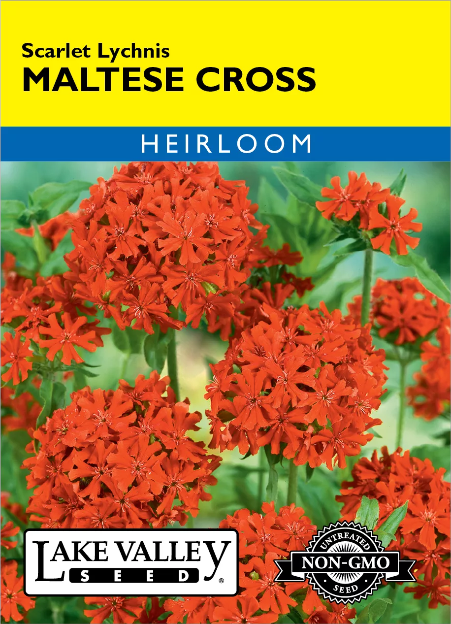 Maltese Cross – Item #4623
