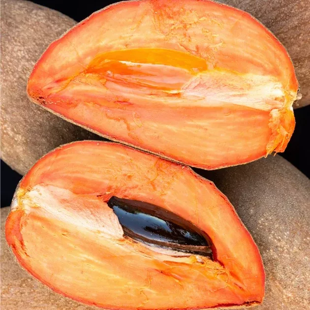 Mamey