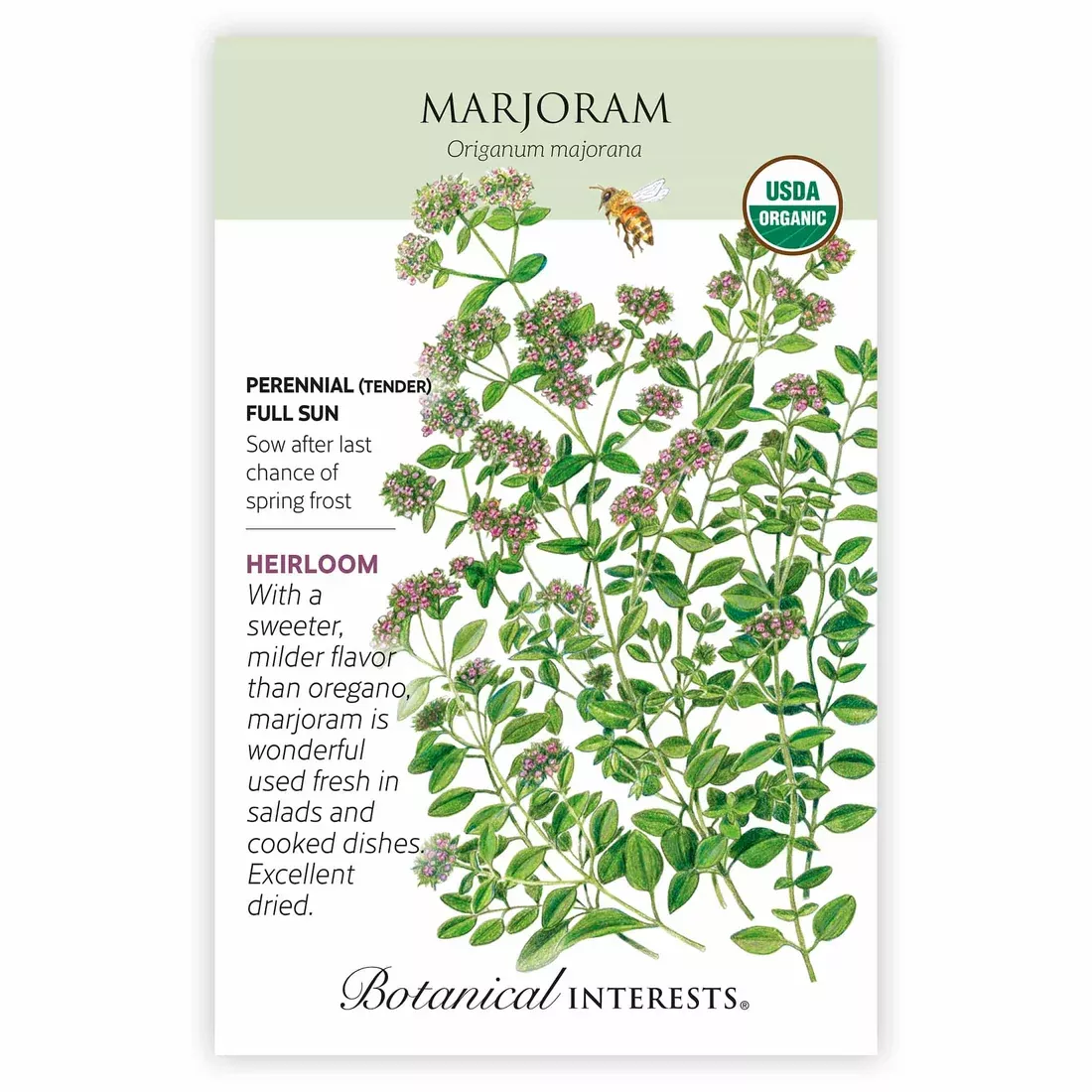 Marjoram
