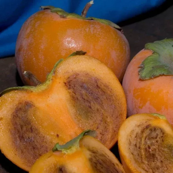 Maru Persimmon