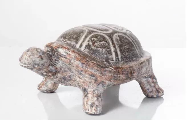 MED Solid Back Tortuga