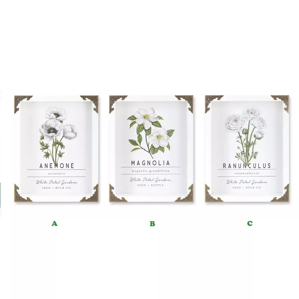Melrose, Floral Wall Boxes, Assorted and Sold Separately