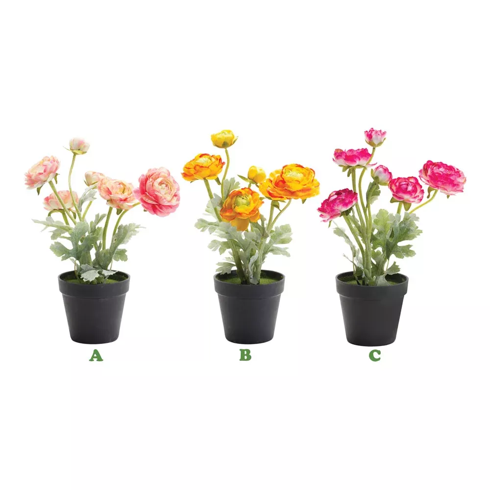 Melrose International, Potted Ranunculus, 13.25" Assorted & Sold Separately