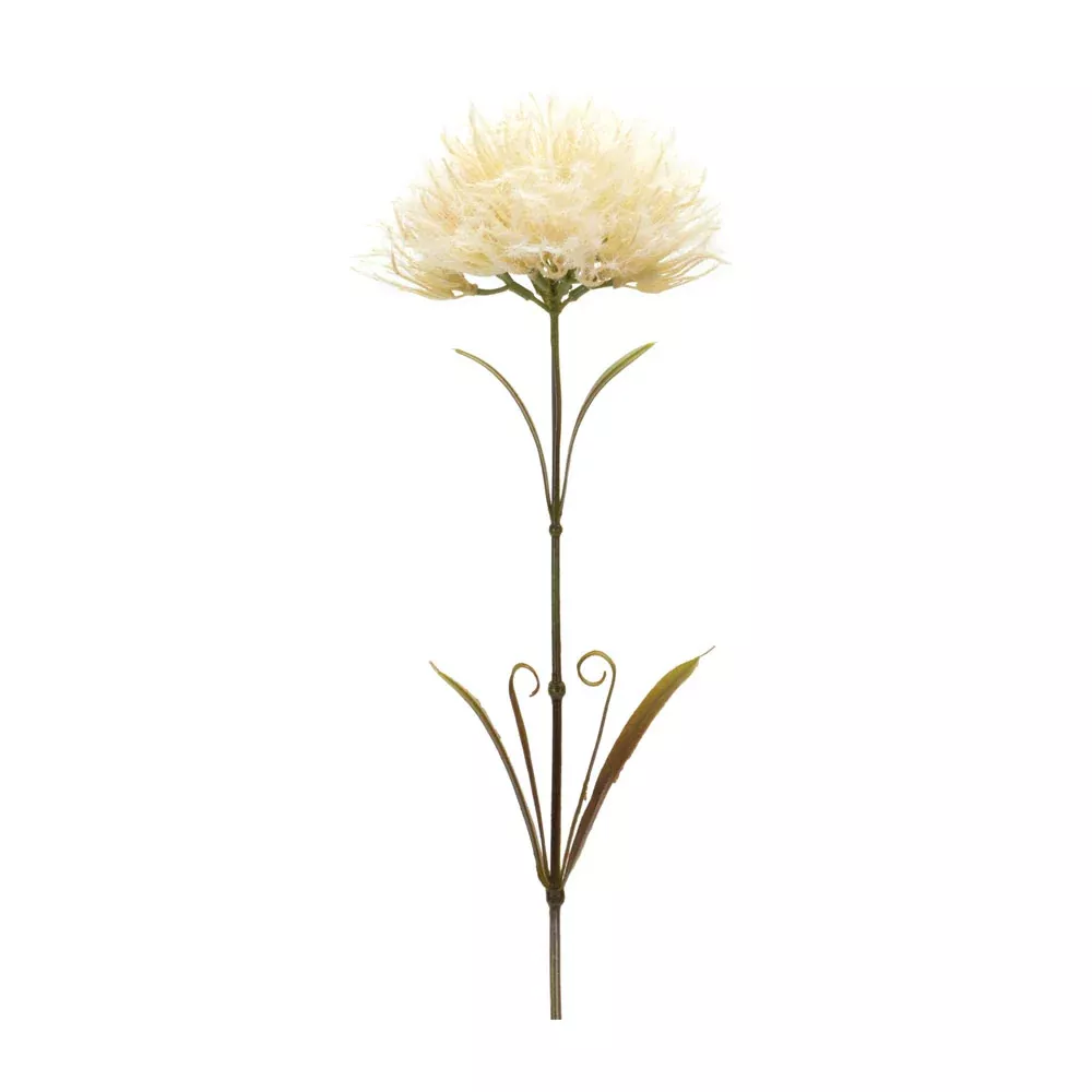 Melrose International, Puff Stem, 24"