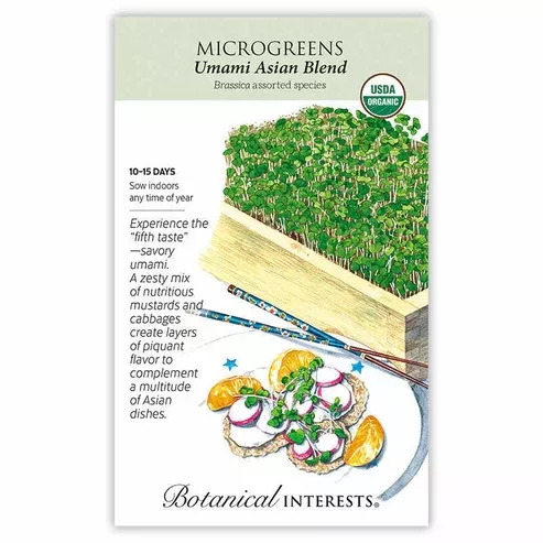 Microgreens 'Umami Blend'
