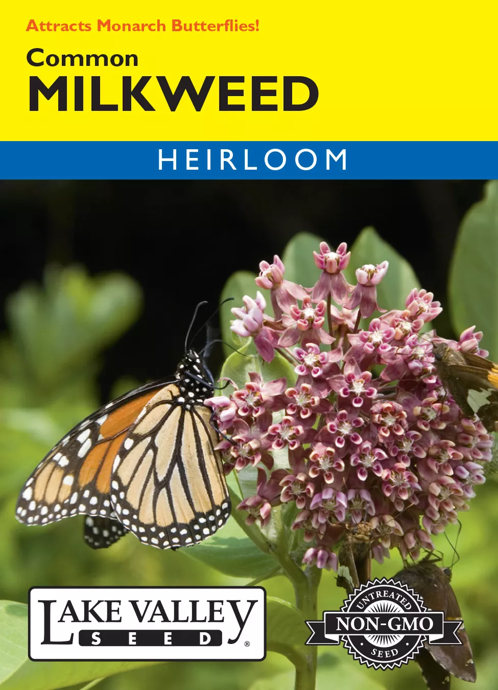 Milkweed Common – Item #4361