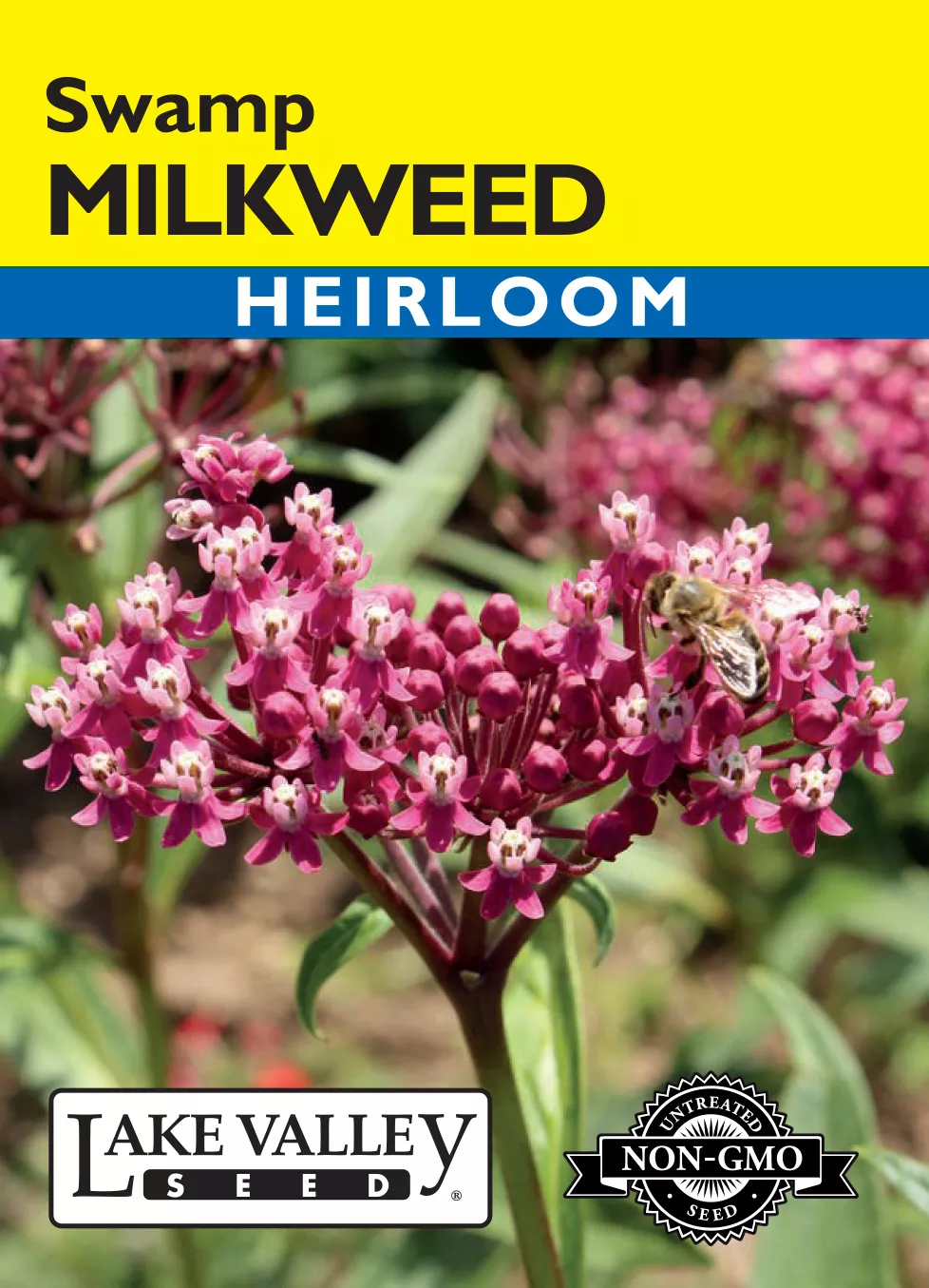 Milkweed Swamp (Eastern Native) – Item #4534