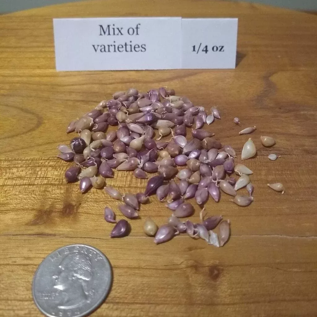 ٴMix of all Varieties