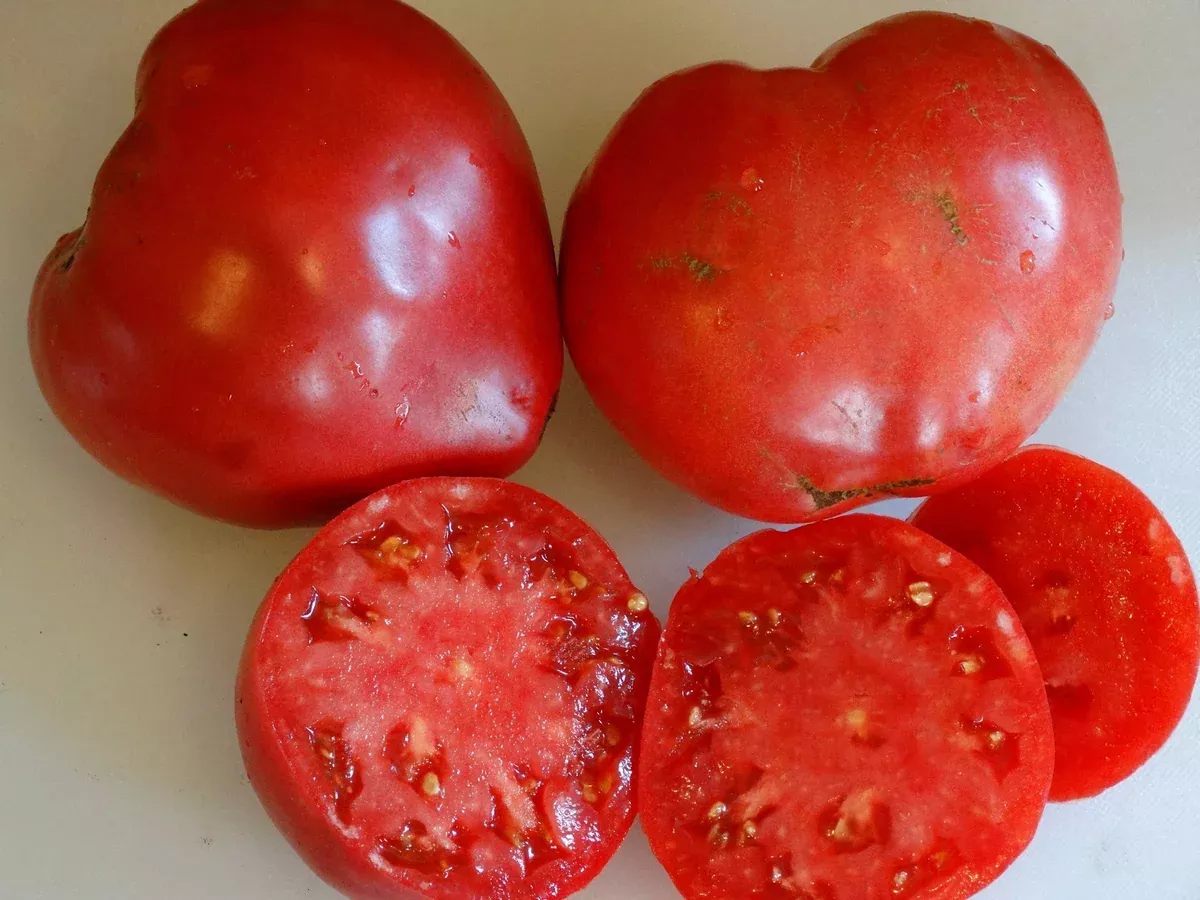 Monomakh’s Hat Tomato