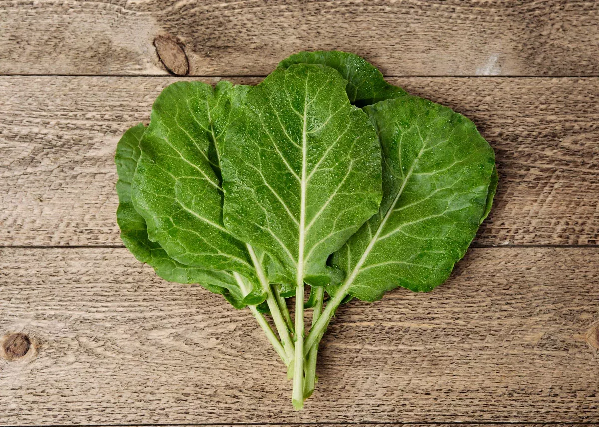 Morris Heading - Collard Seeds