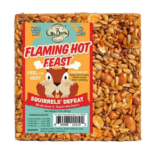 Mr. Bird Flaming Hot Feast Cake, Small