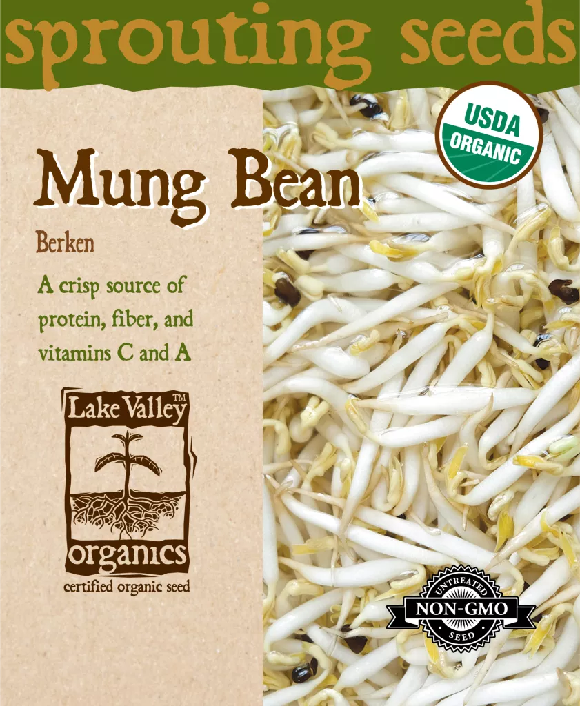 Mung Bean Berken – Item #4371