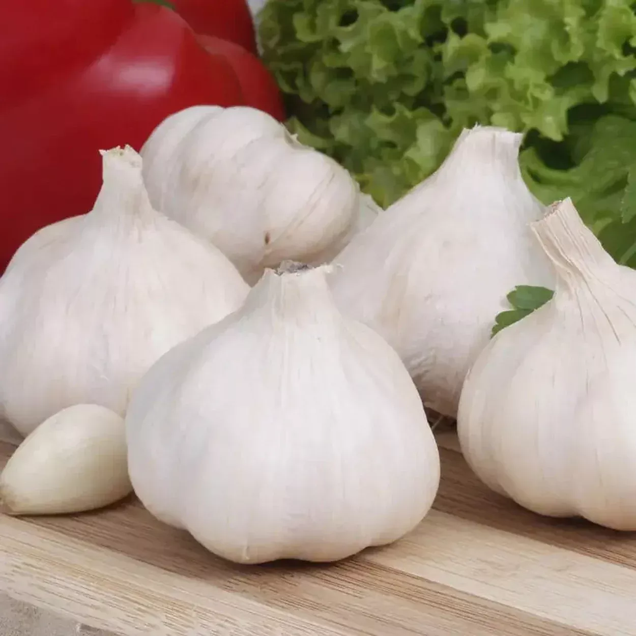 Music Hardneck Garlic