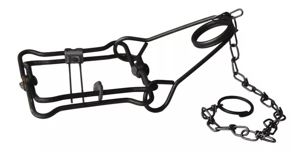 Muskrat Body Trap