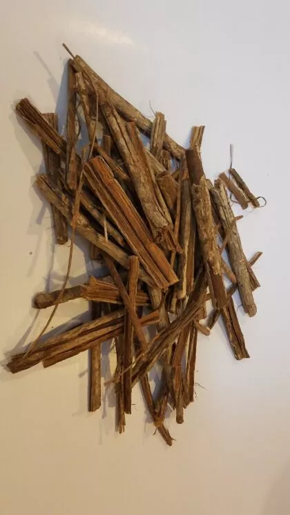 Mussatia Hyacinthina (Chamairo) – Young Vine Bark