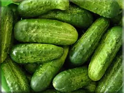 National Pickling Cucumber (1924)