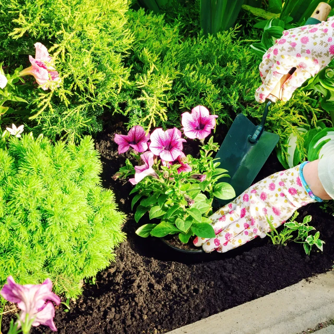 Native Plant Subscription Box - 1 Plant Per Month Perfect For Your Zone