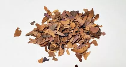 Nelumbo Nucifera (Sacred Lotus) Organic Pink Flower Petals